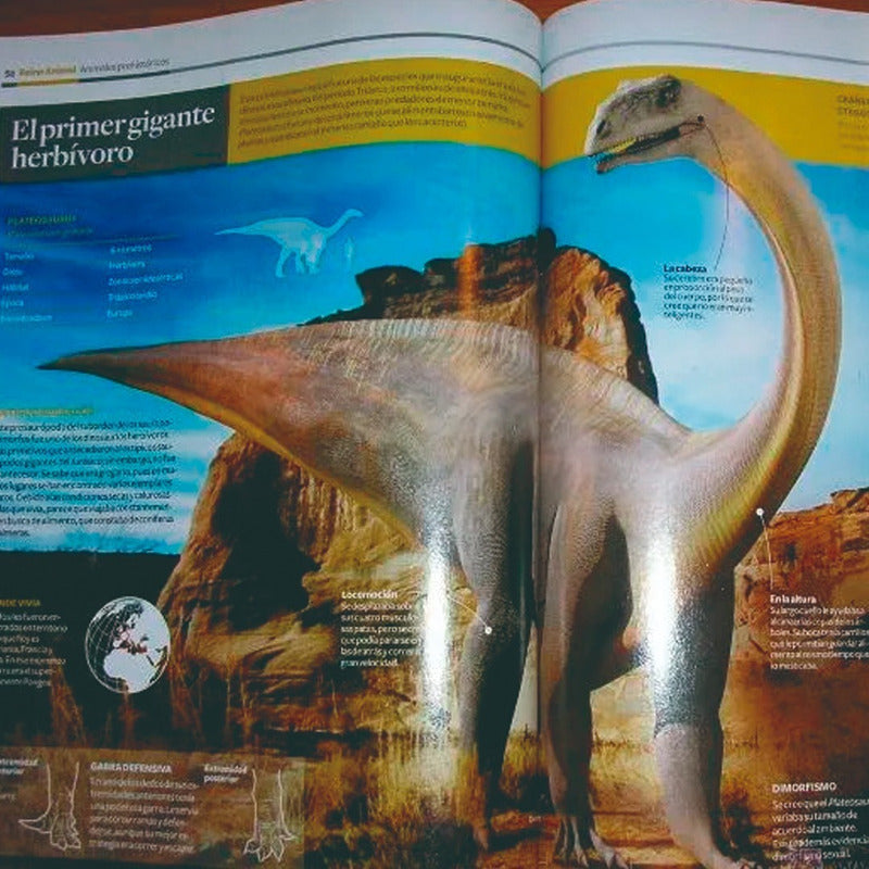 Libro - Enciclopedia De Los Animales National Geographic