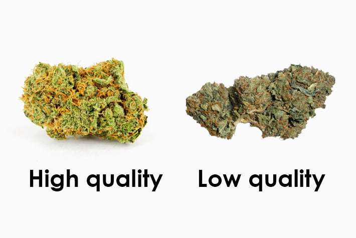 Photo of High Quality versus Low Quality Weed