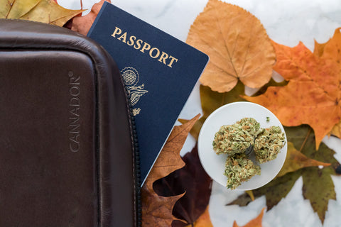 travel with weed in india
