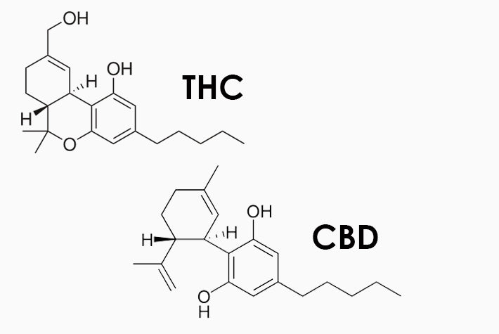 Photo of THC and CBD chemical diagram