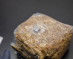 A bag of sterilized grain for mushroom cultivation with an injection port containing small circular yellow grains and oblong beige grains.