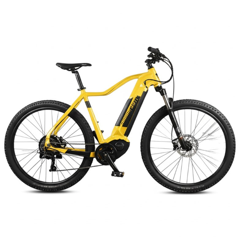 mid-drive electric bike