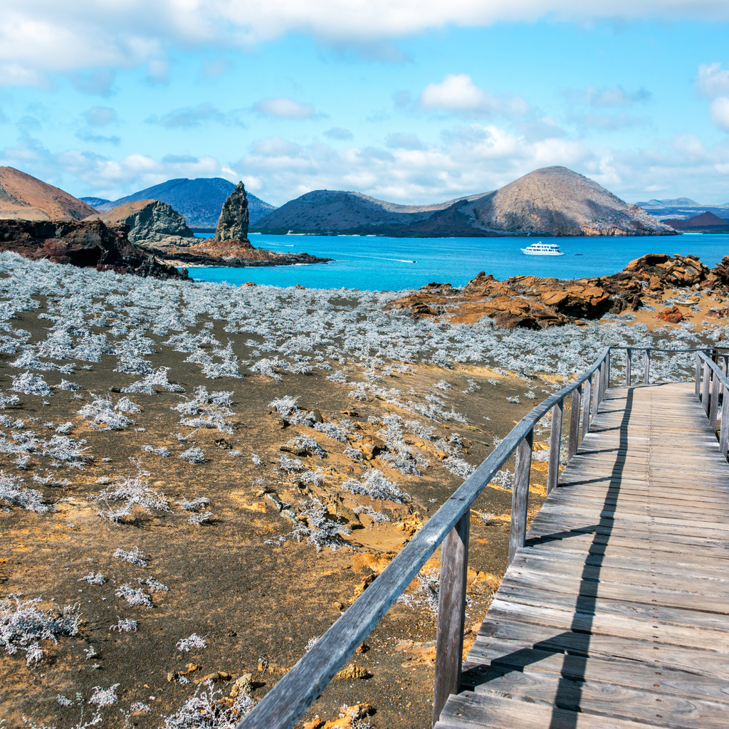 Channel Islands National Park Camping