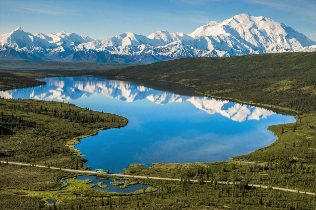 Denali National Park-Alaska Photo