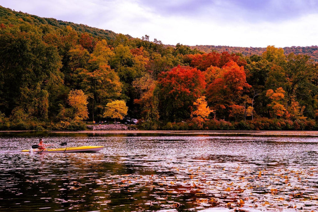 Park-Pennsylvania Photo