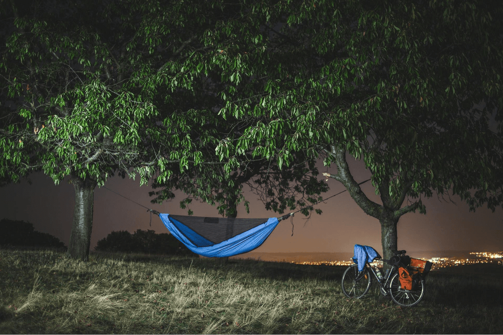 tree tent in night view