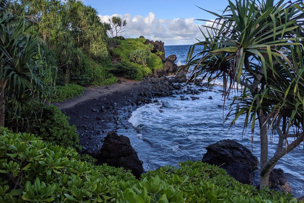 Waiʻanapanapa State Park-Hawaii Photo