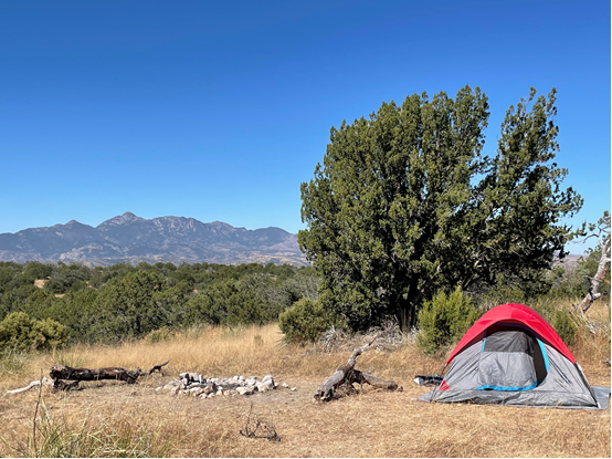 red tent on wild