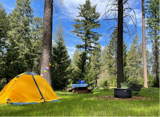 Yellow tent next to toyota