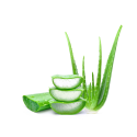 Aloe_Vera