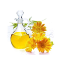 Calendula_oil