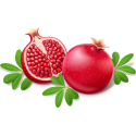 Pomegranate_seed