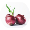 Red_Onion_Seeds