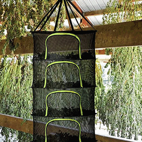 What a wonderful use in the garden :: a herb drying rack