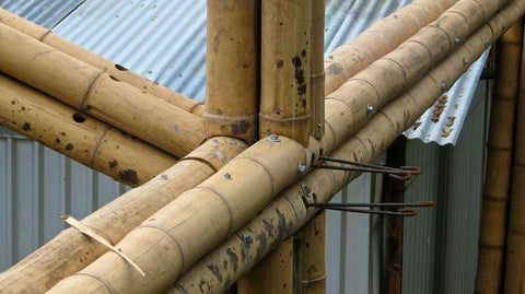 bamboo strength and construction