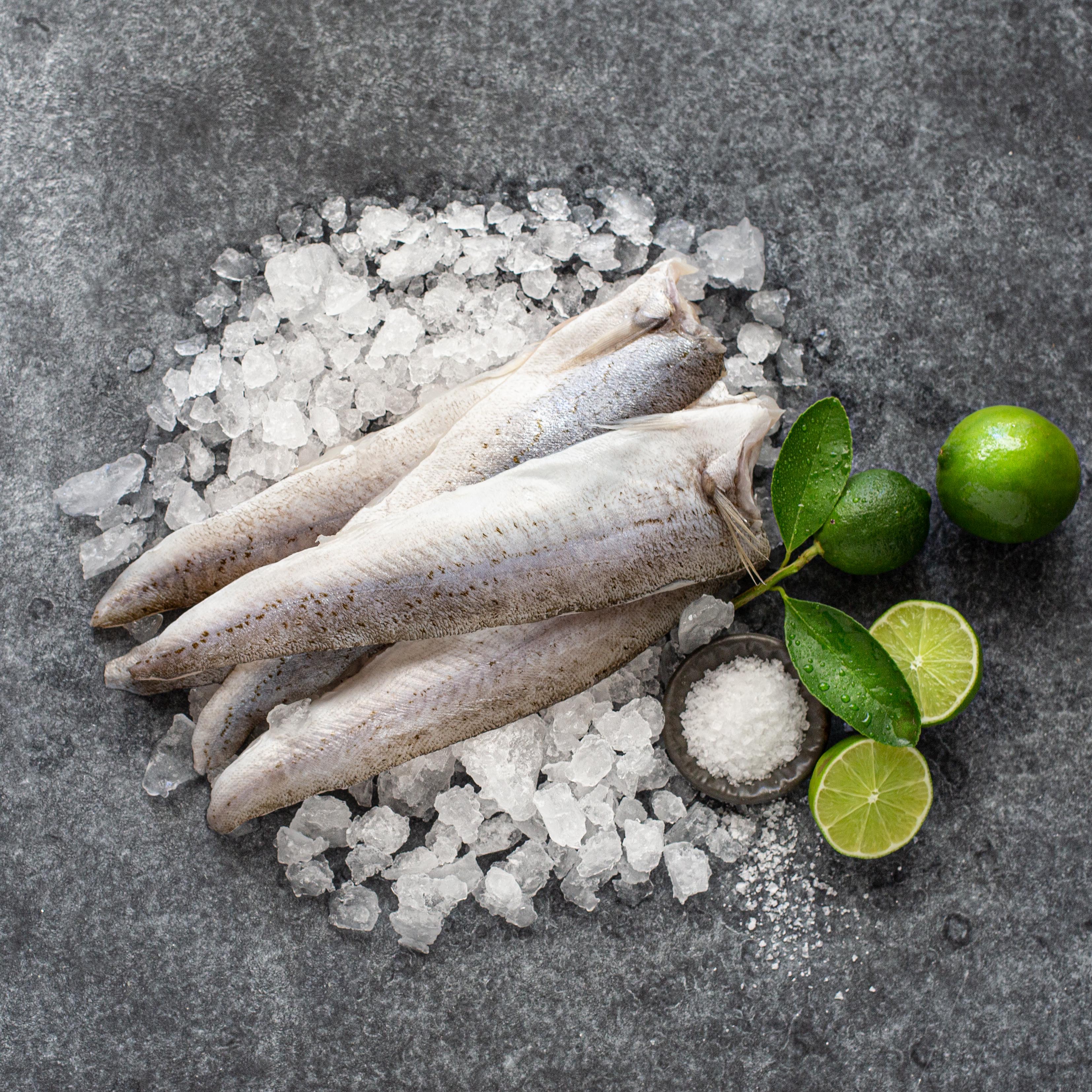 Angelakis Brothers King George Whiting Fillets