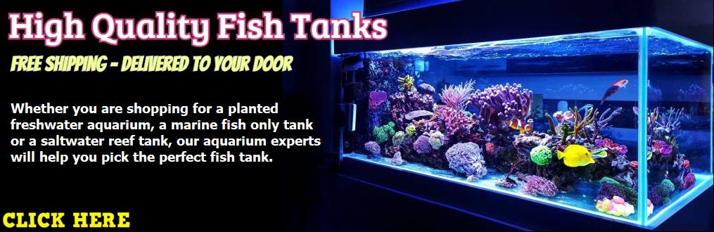 Your Online Aquatics Fresh & Saltwater Fish Store