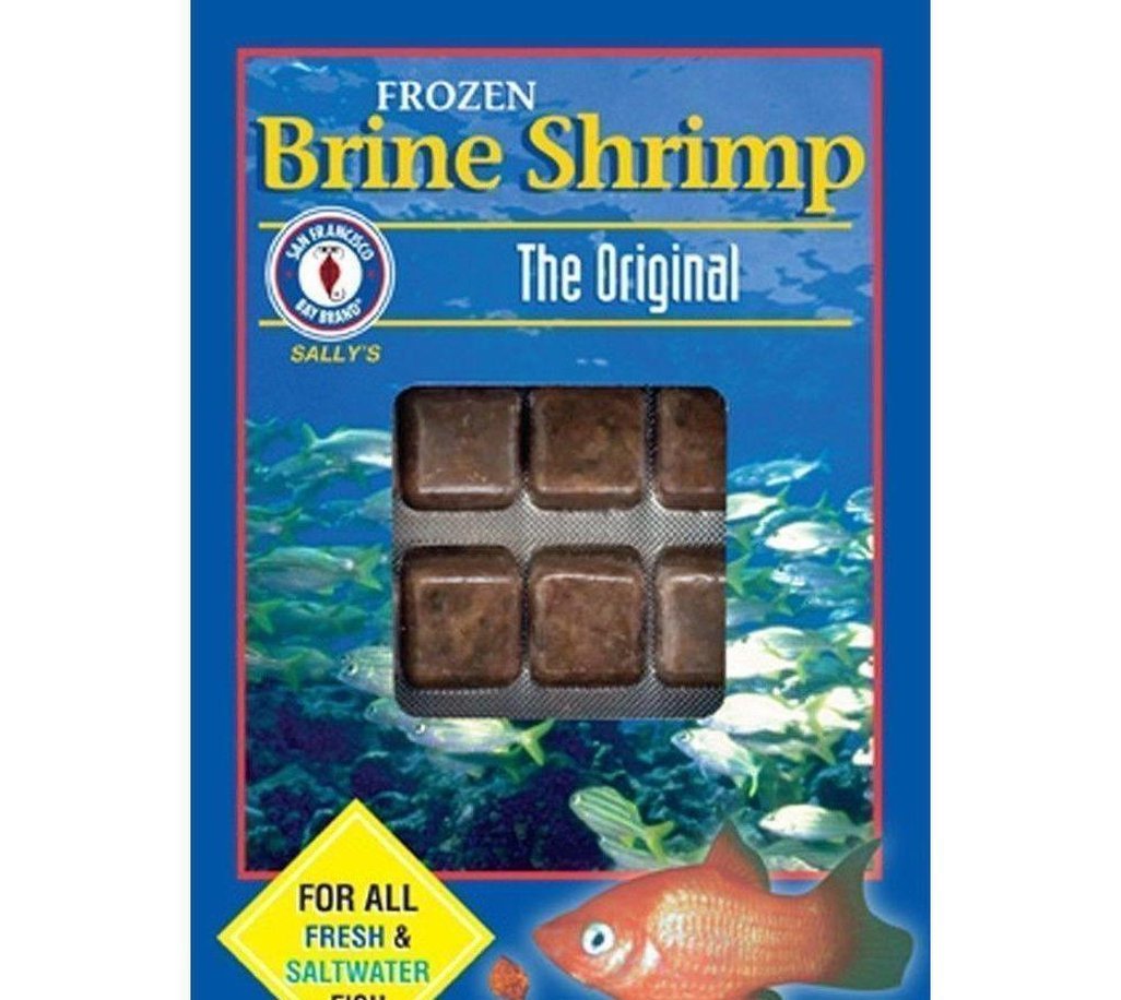 frozen brine shrimp fish food