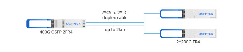 400G OSFP 2FR4 Connection