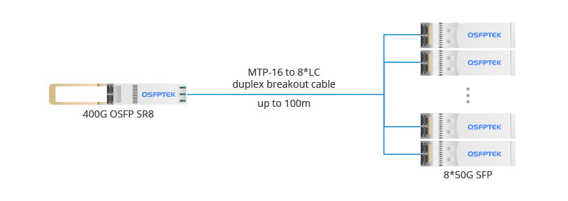 400G OSFP SR8 Connection