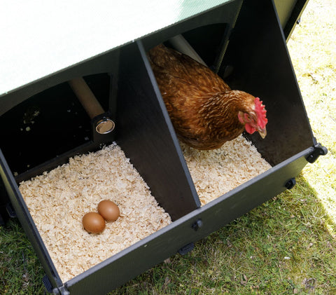Recycled plastic chicken coops - easy egg collection