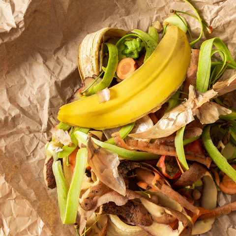 KItchen scraps for chickens