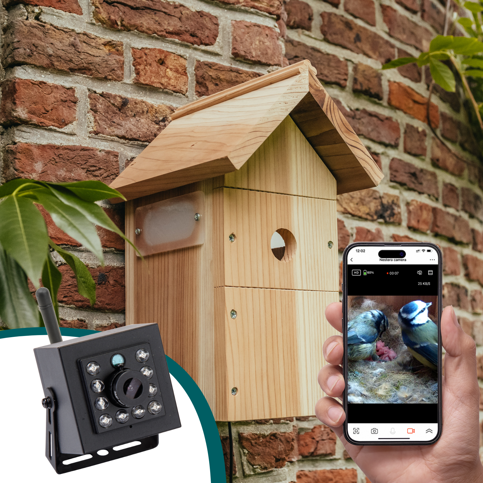 webcam for nest box