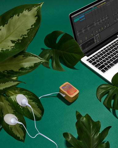 PlantWave works with DAWs like Ableton