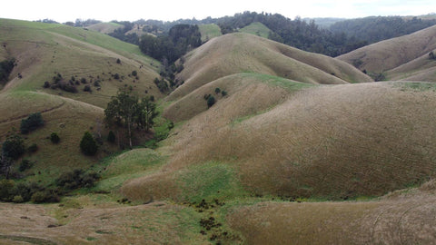 Greenfleet’s property called Glendalough in South Gippsland where Giant Gippsland Earthworms can be found.