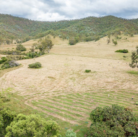 A drone image showing Aroona with mountains in the background and vegetation in the foreground.