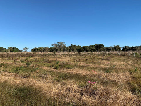 Greenfleet planting at Barolin Nature Reserve