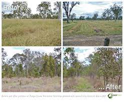 Before and after Purga Creek QLD