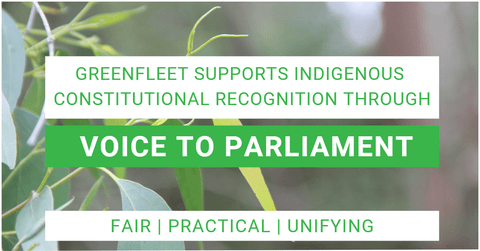 A banner stating "Greenfleet supports Indigenous through constitutional recognition via a Voice to Parliament"