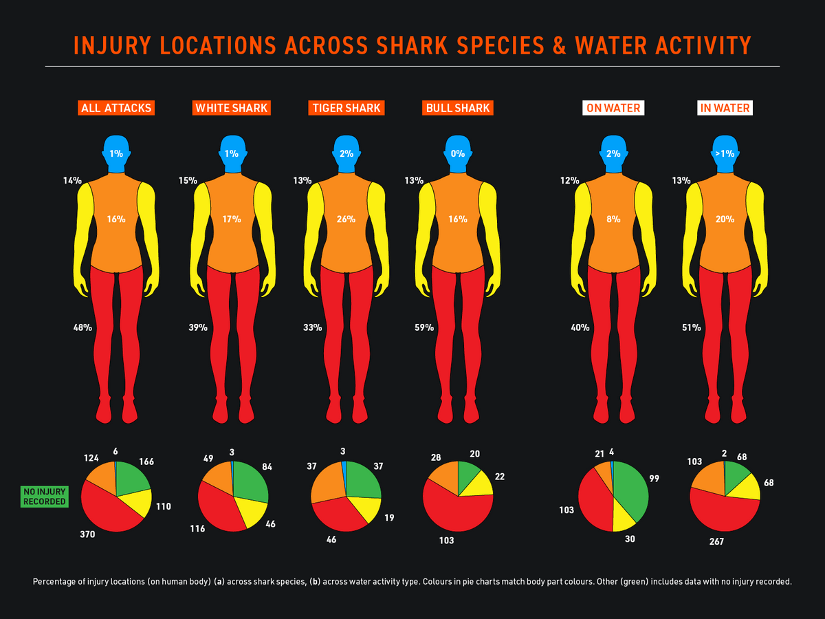 The Science of Surviving a Shark Bite Incident