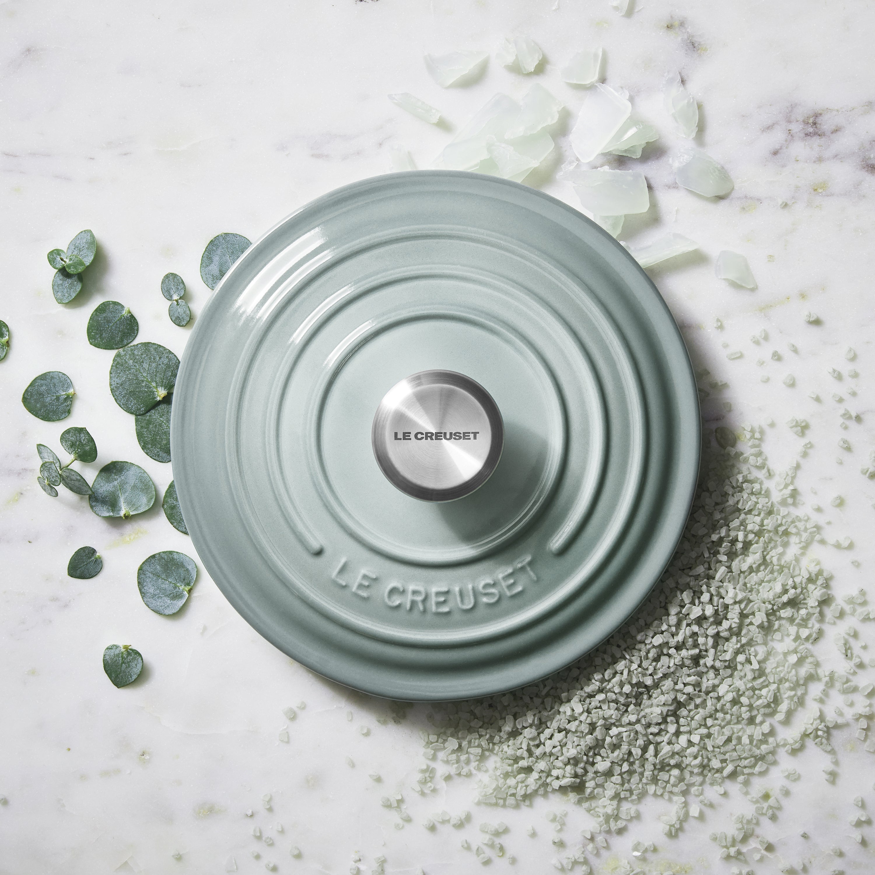 Le Creuset Signature Cast Iron 5.5-quart Sea Salt Round Dutch Oven