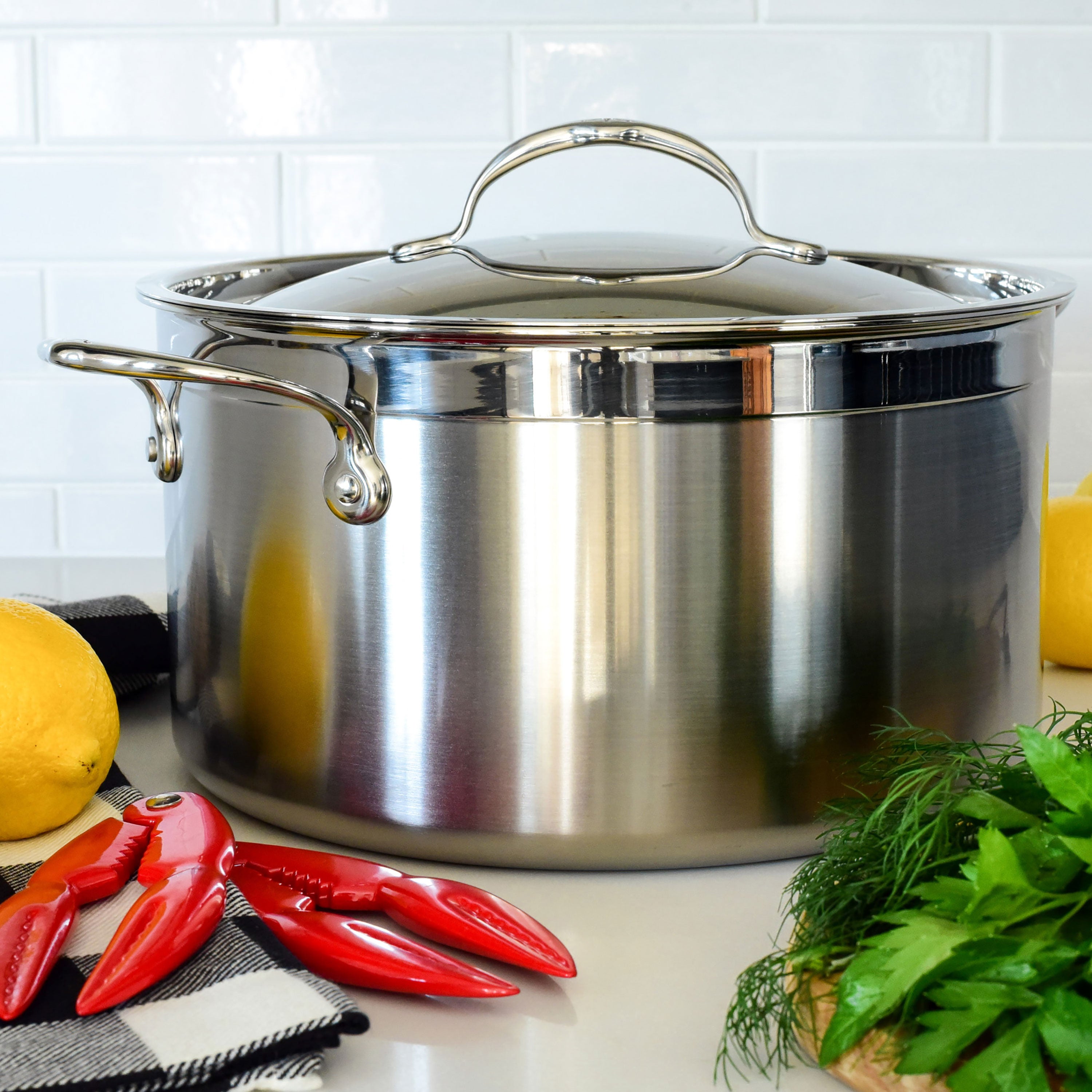 Hestan ProBond 8-quart Stainless Steel Stock Pot