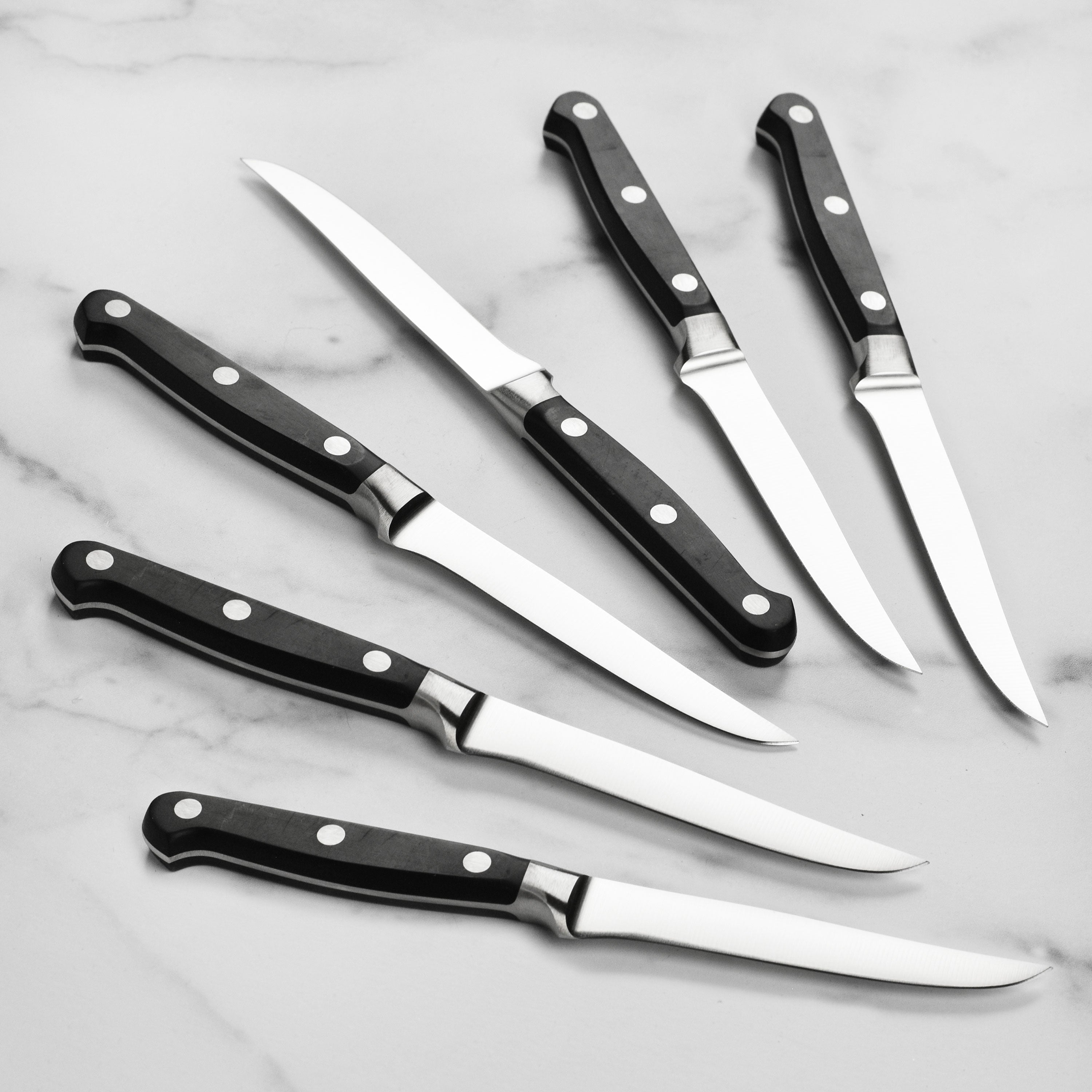 Zwilling Professional S 6 Piece Steak Knife Set