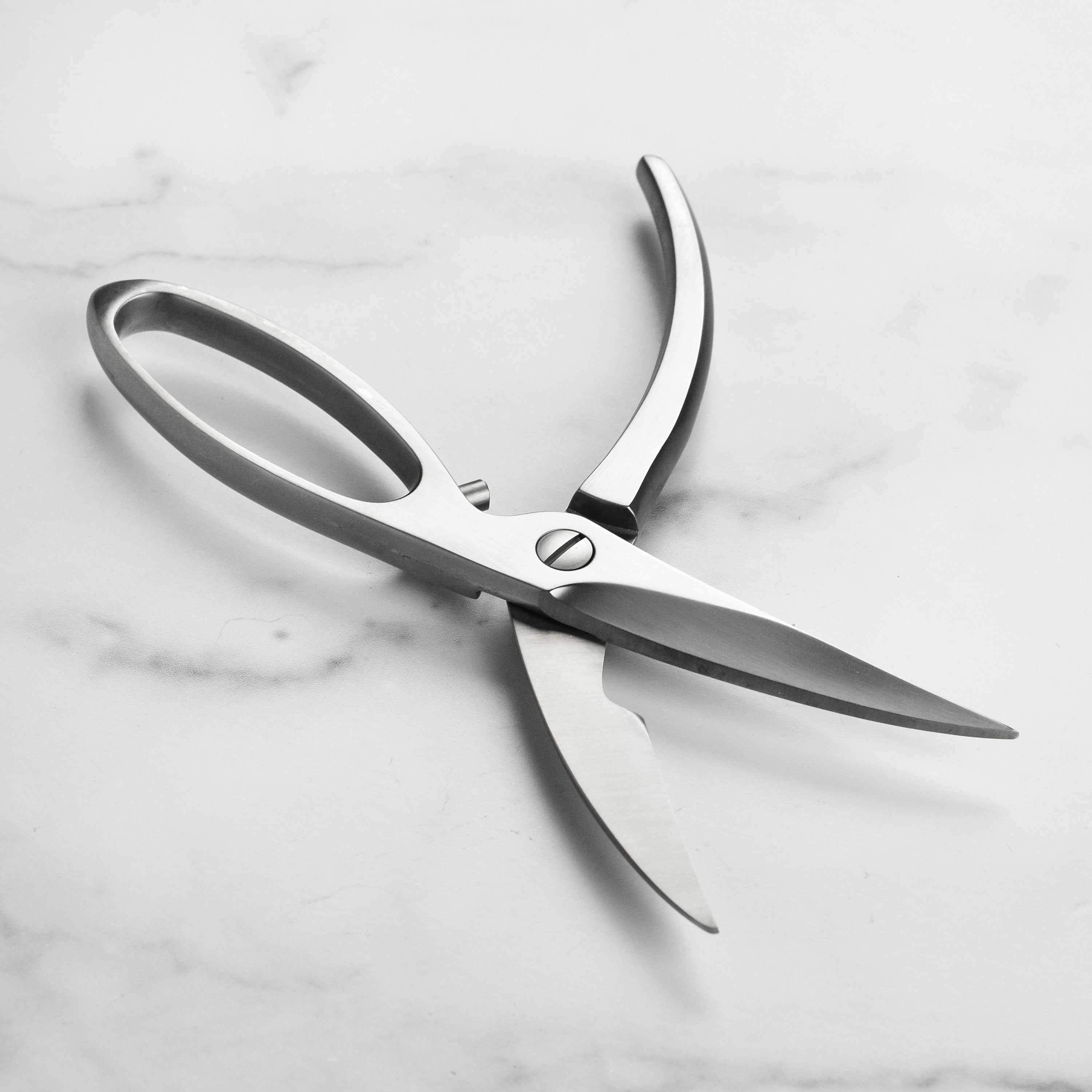 Zwilling Twin Stainless Steel Take-Apart Poultry Shears