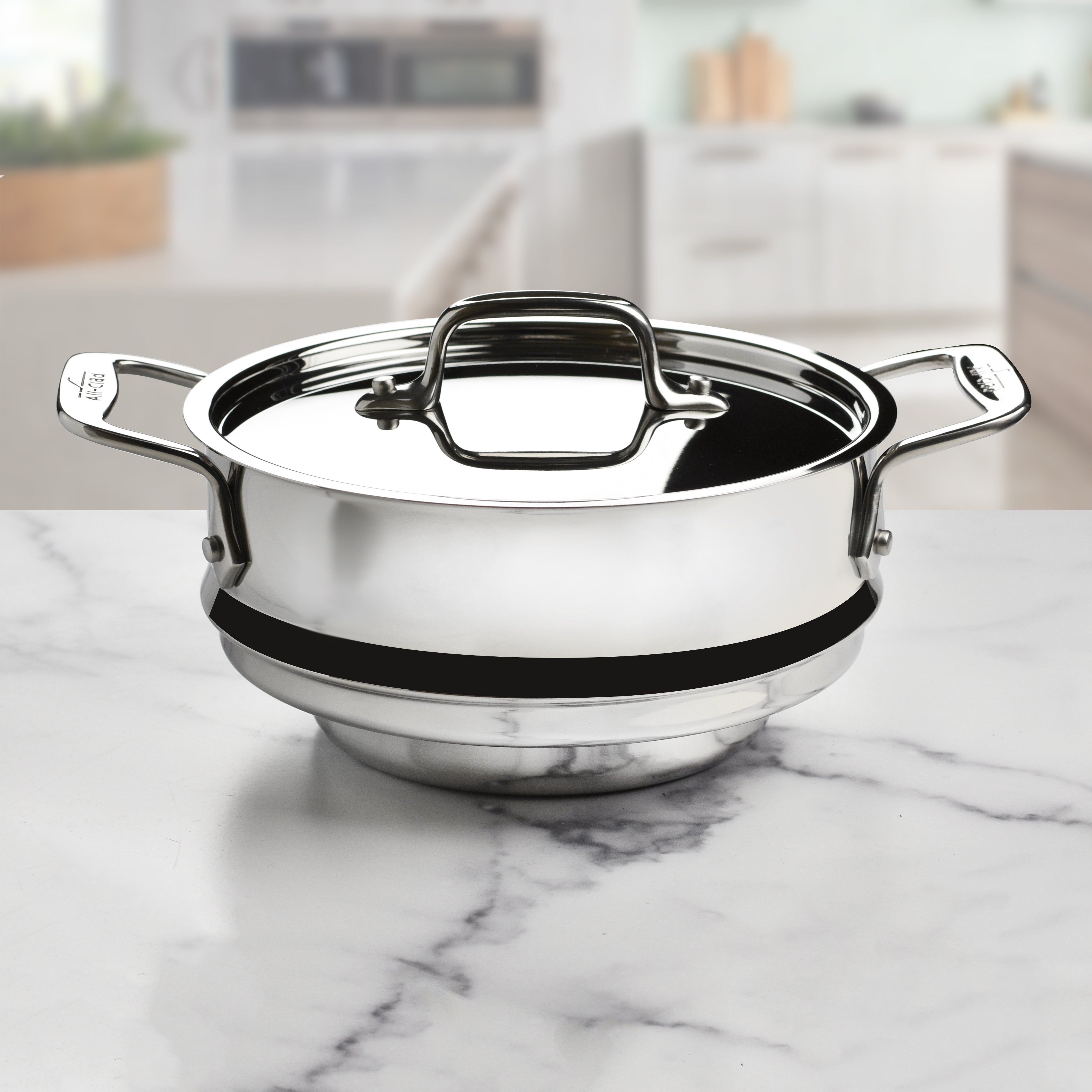 All-Clad 3-quart Steamer Insert with Lid