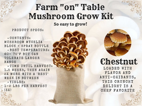 ReishiMushroom LionsManeMushroom LionsMane OysterMushroom MushroomTincture MushroomSupplement Mushrooms MushBarn MushroomGrowKit GrowingMushrooms GrowMushroomsAtHome MushroomGrowingKit MushroomKit MushroomGardenGiant MushroomBlock GardenGiant GardenGiantBlock MushroomJerky