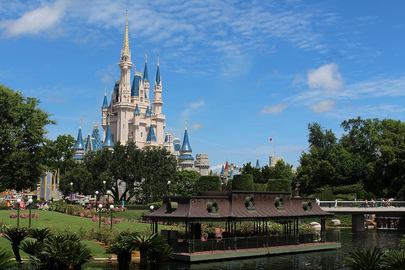 Disney World Theme Park In Orlando, FL