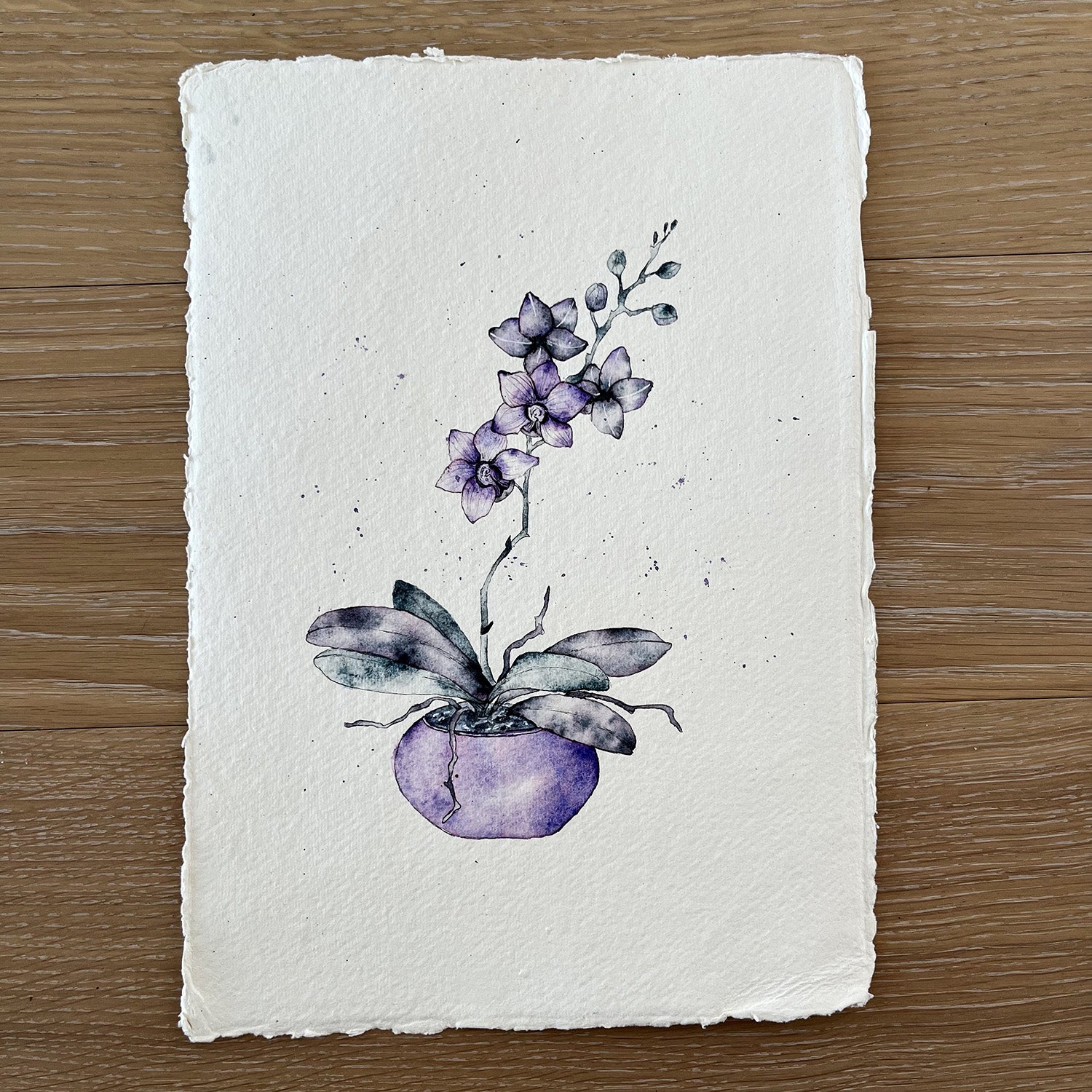 Orchidée violette – soquarelle.ch