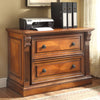 Quinn Brown 2 Drawers Lateral File