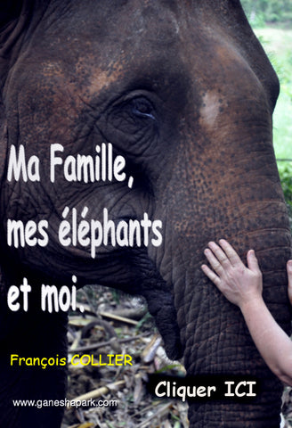 MA FAMILLE MES ELEPHANTS ET MOI