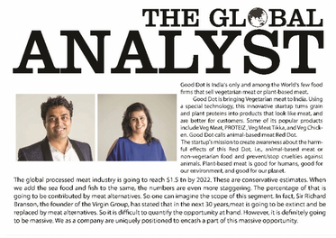 The Global Analyst