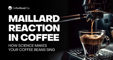 The Maillard Reaction in Coffee Roasting