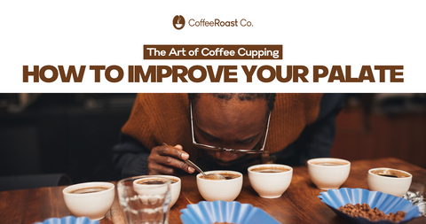 The Art of Coffee Cupping: How to Improve your Palate
