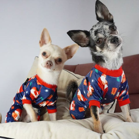 Gnome Dog Pajamas