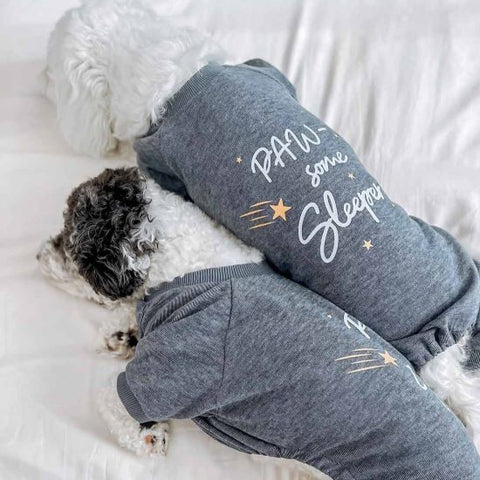 Dog Sleeping in Matching and Cozy Dog Pajamas