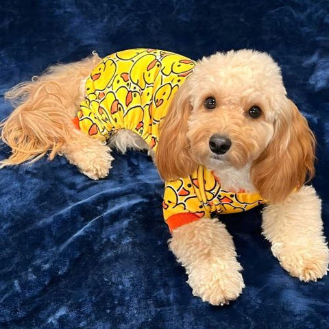 Cavapoo Dog Clothes - Dog Duck Pajamas - Fitwarm